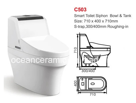 One Piece 710 X 400 X 710mm Smart Toilet Wall Hang Standing Intelligent Toilet Seat